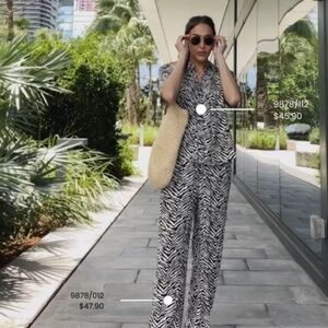 Zebra Zebra Shirt (NWOT)